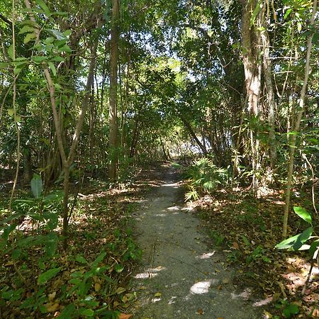 Villa Frangipani Port Douglas Bagian luar foto