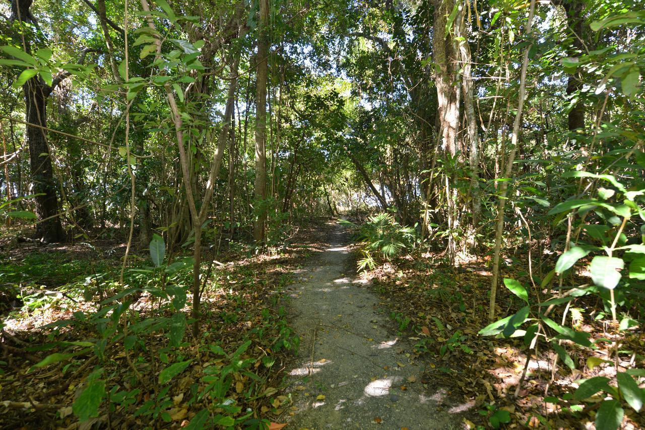 Villa Frangipani Port Douglas Bagian luar foto